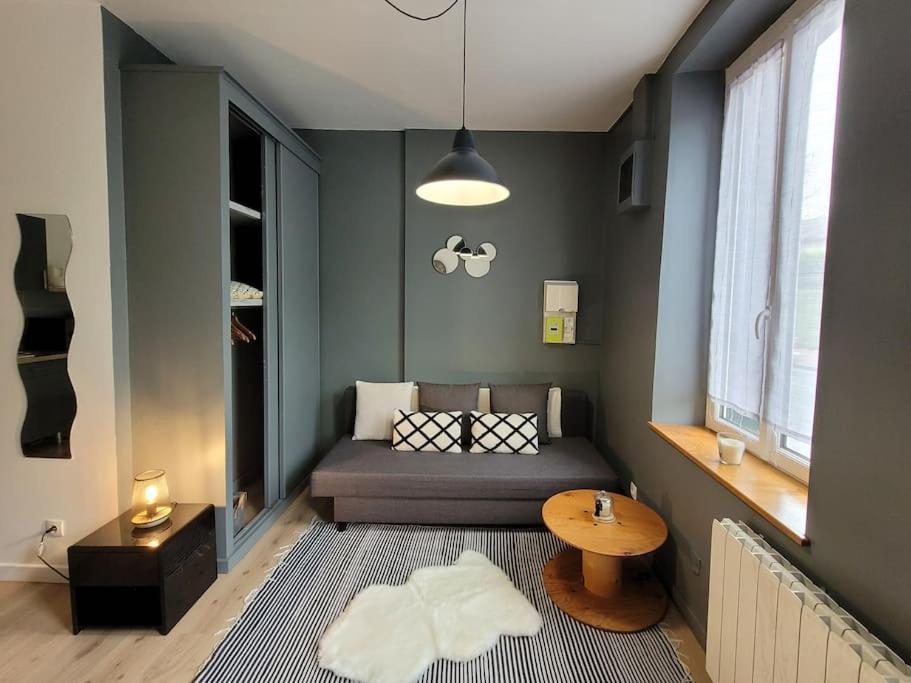 Studio Prive Centre Saint Louis Монтаржи Экстерьер фото